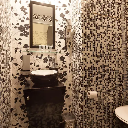Hermitage Hotel 3*
